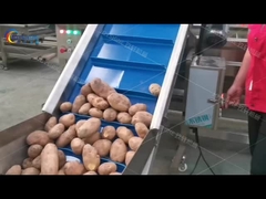 خط إنتاج البطاطا المقلية الطازجة