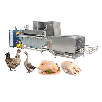 High Productivity Chicken Scalding Machine Poultry Scalder Plucker for Slaughtering